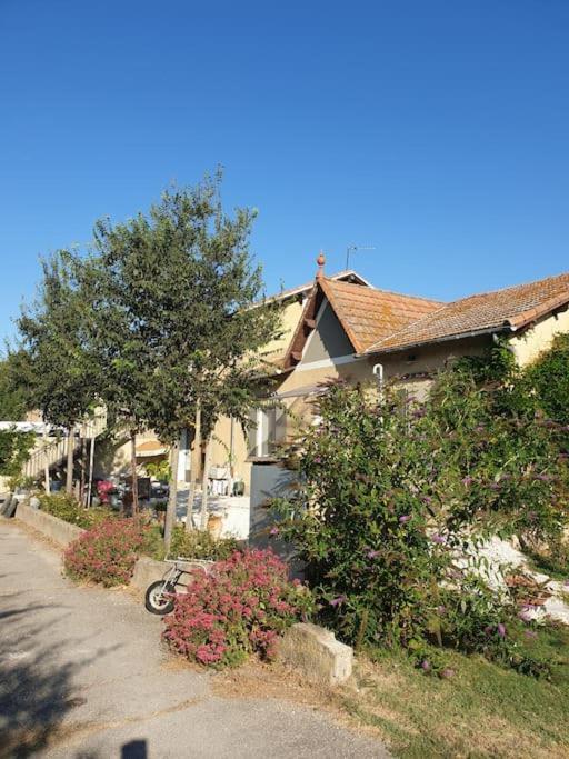 St Remy De Provence, La Maison Du Berger Saint-Andiol Exteriör bild