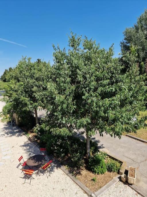 St Remy De Provence, La Maison Du Berger Saint-Andiol Exteriör bild